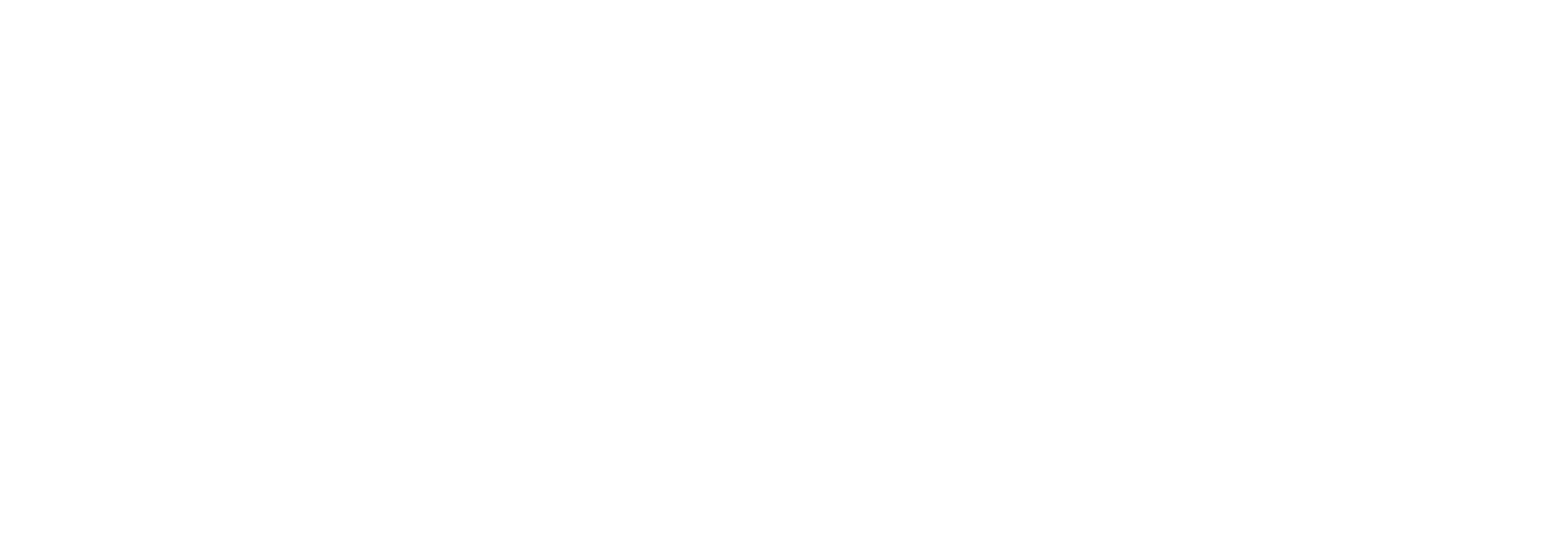 2022_FCT_Logo_A_horizontal_brancoIR
